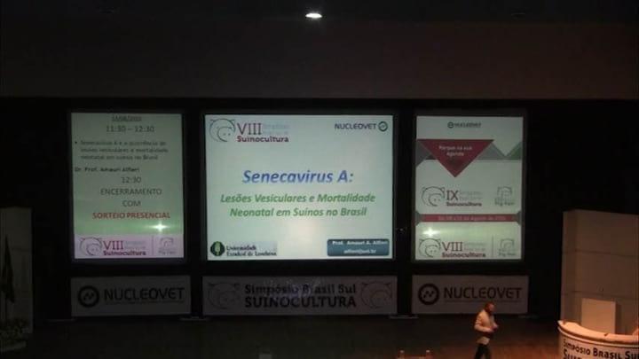 Senecavirus A e a Ocorrência de Lesões Vesiculares e Mortalidade Neonatal em Suínos no Brasil