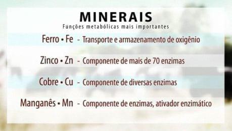  Minerais Organicos Quelatados.