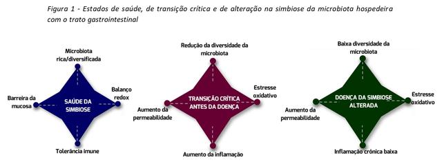 Abordagem Holística De 3 Passos Em Como Melhorar A Saúde Do Trato Gastrointestinal Dos Animais