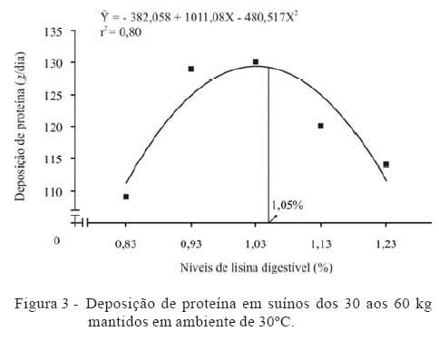 Lisina digestível para suínos machos castrados de alta deposição de carne submetidos a estresse por calor dos 30 aos 60 kg - Image 4