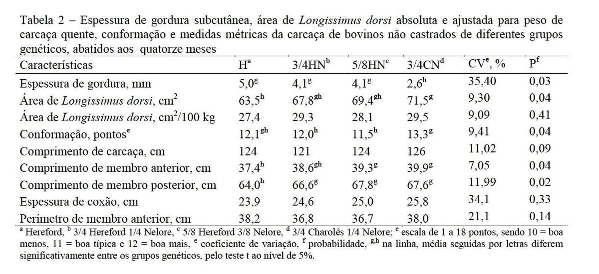 Características de carcaça e biometria testicular de machos bovinos superjovens não castrados de diferentes grupos genéticos - Image 2