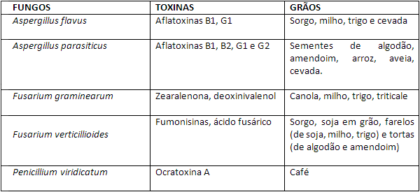 MICOTOXINAS EM PRODUTOS NATURAIS IN NATURA - Image 1
