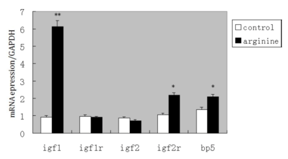 Figura 12. Expressão do mRNA de IGF1; IGF2; IGF1R; IGF2R e IGFBP5 nos rins *(P<0,05); **(P<0,01).
