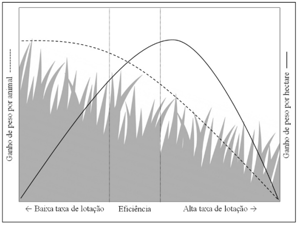 Figura 3. Ganho de peso de bovinos e produtividade por área em função de taxa de lotação. Fonte: elaborado pelos autores (adaptado de Mott (36)).