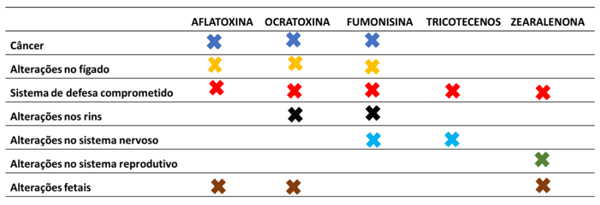 Figura 1. Efeitos sinérgicos e/ou aditivos das principais micotoxinas na saúde dos animais.